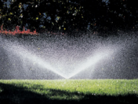 a spray style sprinkler head